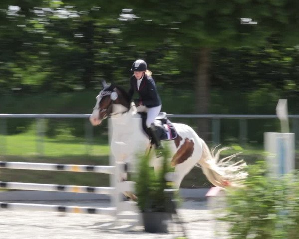 Reitturnier Elmlohe 2021