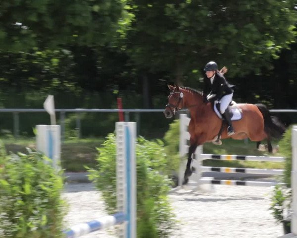 Reitturnier Elmlohe 2021