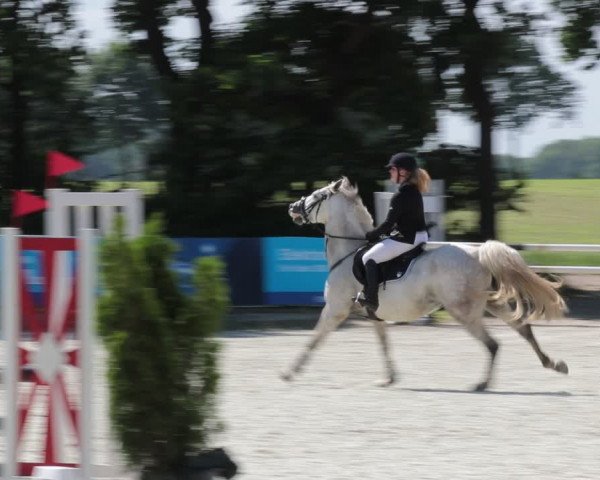 Reitturnier Elmlohe 2021