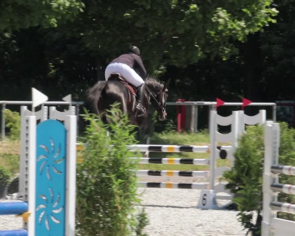 Reitturnier Elmlohe 2021