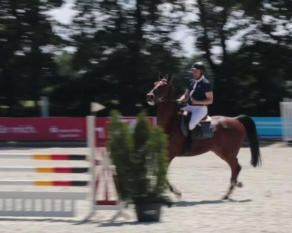 Reitturnier Elmlohe 2021