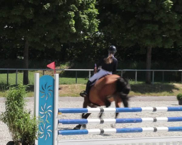 Reitturnier Elmlohe 2021