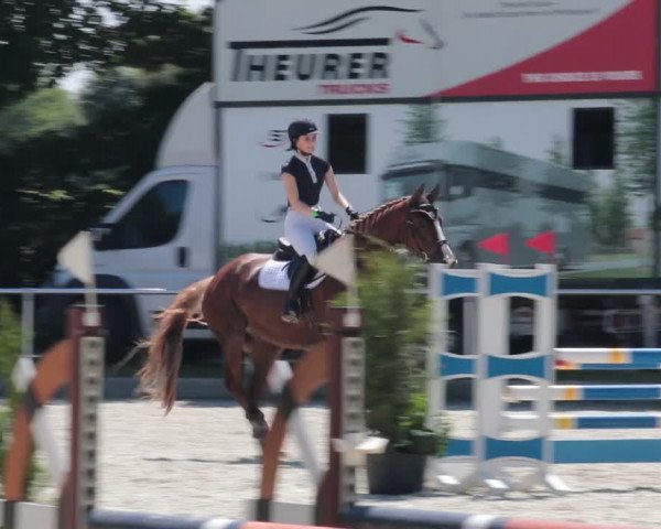 Reitturnier Elmlohe 2021