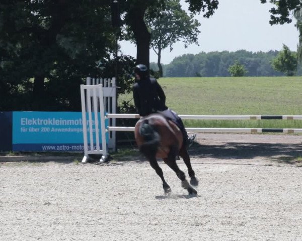 Reitturnier Elmlohe 2021