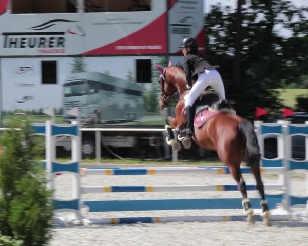Reitturnier Elmlohe 2021