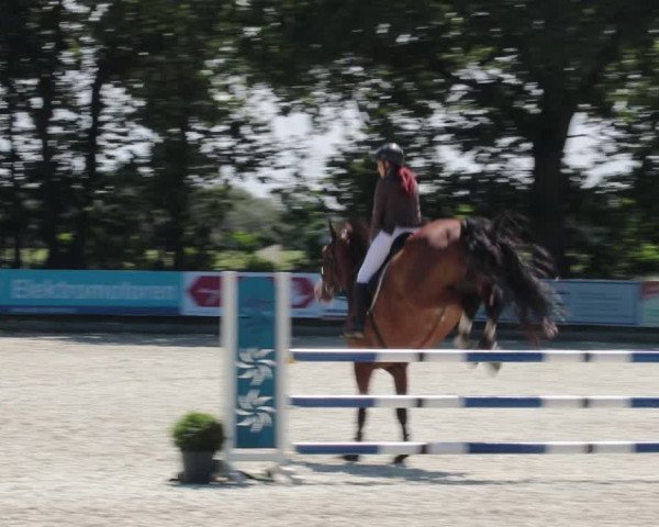 Reitturnier Elmlohe 2021
