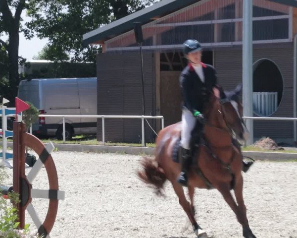 Reitturnier Elmlohe 2021