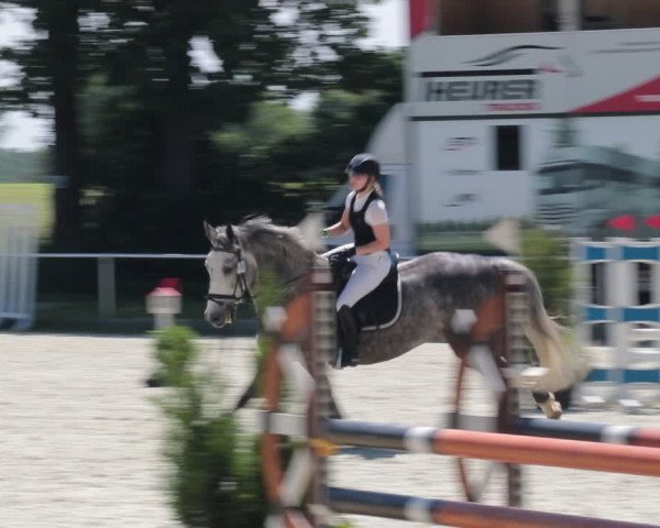 Reitturnier Elmlohe 2021
