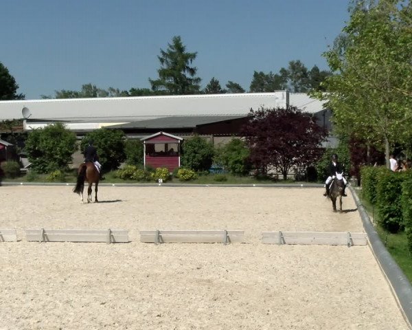 Reitturnier Nürnberg/Mfr. 2021