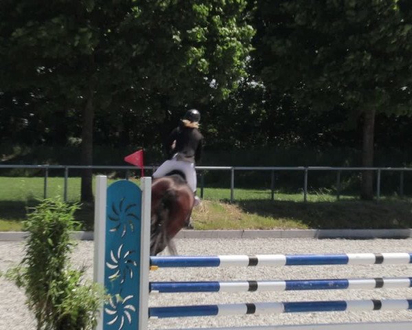 Reitturnier Elmlohe 2021