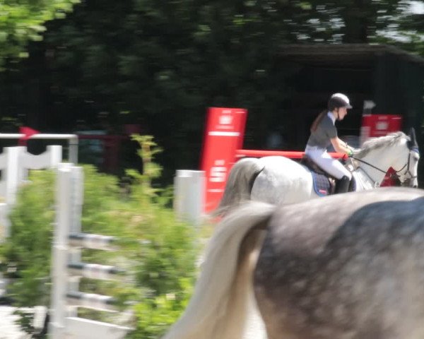Reitturnier Elmlohe 2021