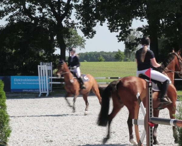 Reitturnier Elmlohe 2021