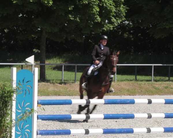 Reitturnier Elmlohe 2021