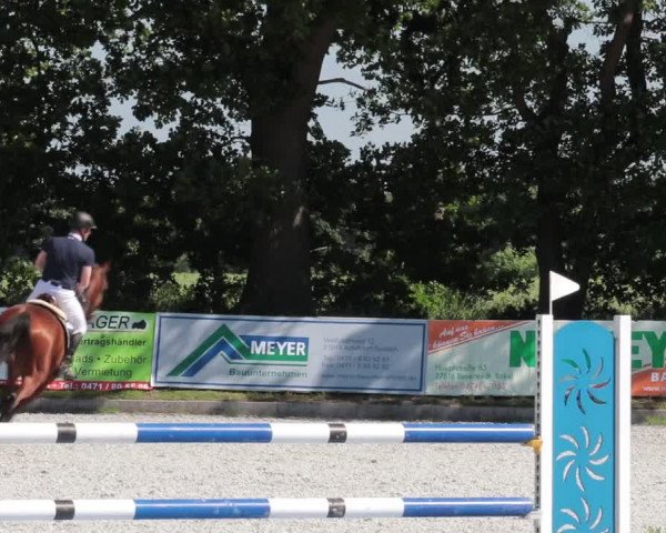 Reitturnier Elmlohe 2021