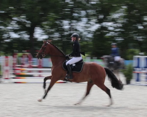 Reitturnier Elmlohe 2021