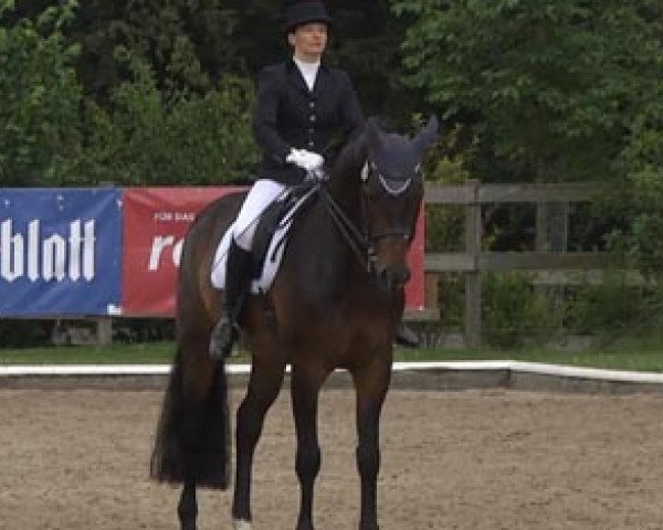 dressage horse Chirpetto (Hanoverian, 2003, from Conteur)