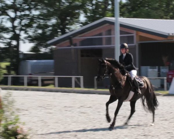 Reitturnier Elmlohe 2021