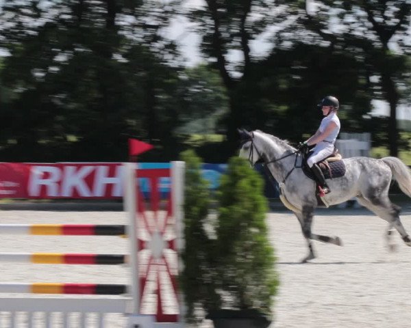Reitturnier Elmlohe 2021
