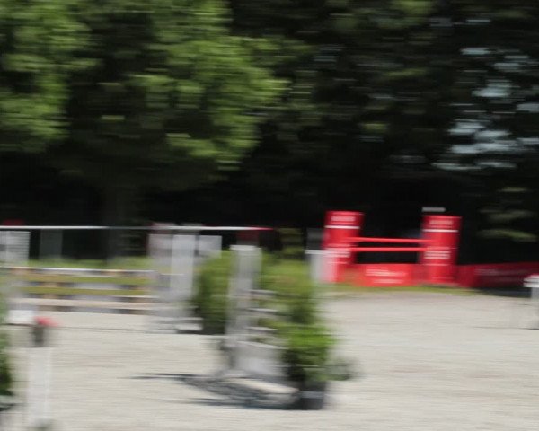 Reitturnier Elmlohe 2021