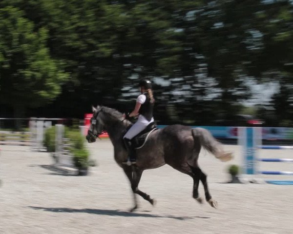 Reitturnier Elmlohe 2021