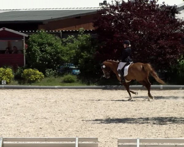Reitturnier Nürnberg/Mfr. 2021