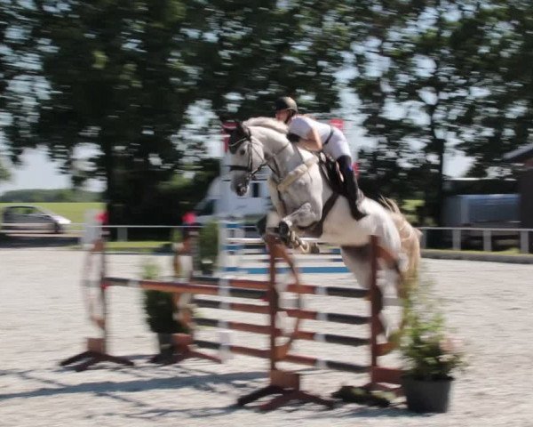 Reitturnier Elmlohe 2021