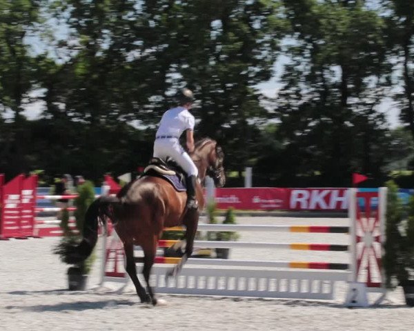 Reitturnier Elmlohe 2021
