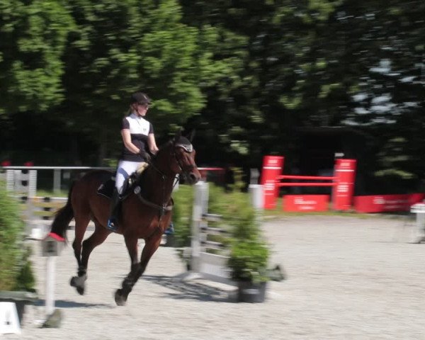 Reitturnier Elmlohe 2021