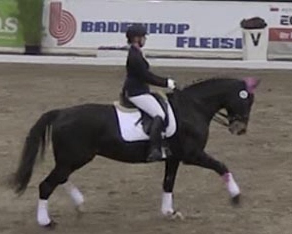 dressage horse For Love (Hanoverian, 1996, from For Joy)