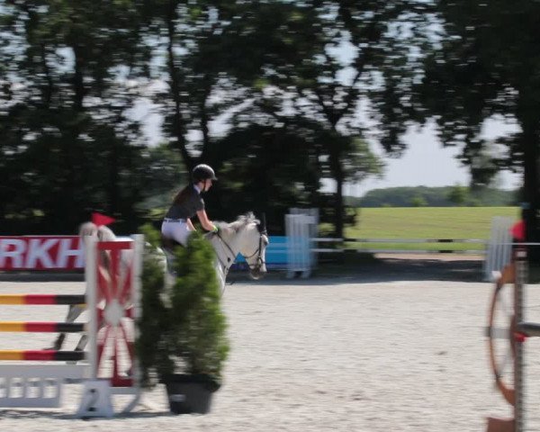 Reitturnier Elmlohe 2021