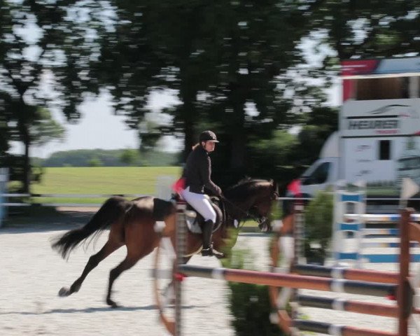 Reitturnier Elmlohe 2021