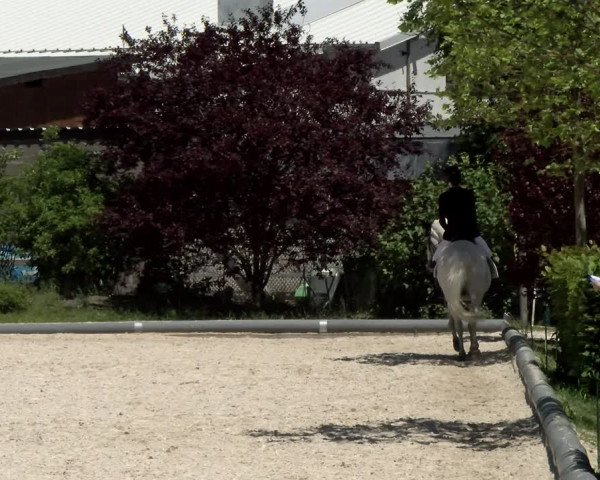 Reitturnier Nürnberg/Mfr. 2021