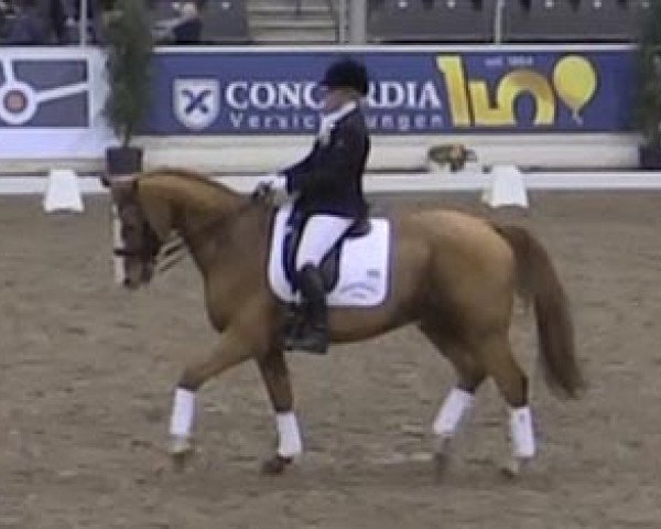 dressage horse Wompettipu (Hanoverian, 1997, from Wolkenstein II)