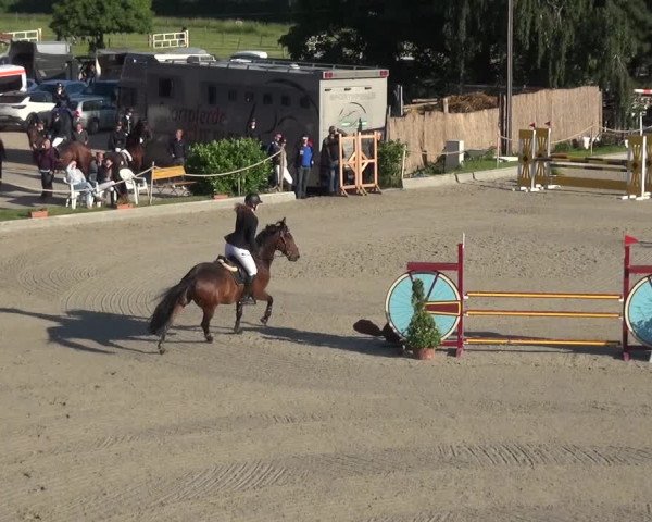 Reitturnier Monheim - Gut Blee 2021