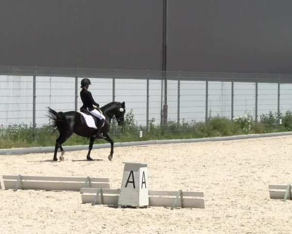 Reitturnier Nürnberg/Mfr. 2021