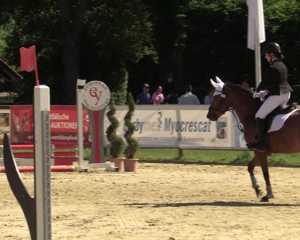 Reitturnier Münster-Handorf 2021