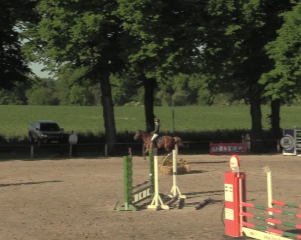 Reitturnier Recklinghausen 2021