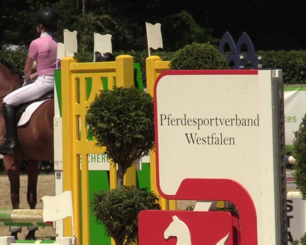 Reitturnier Münster-Handorf 2021