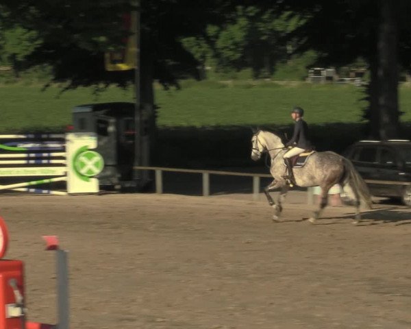 Reitturnier Recklinghausen 2021