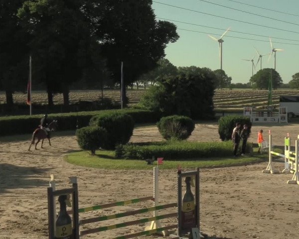 Reitturnier Recklinghausen 2021
