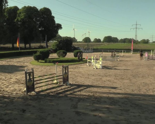 Reitturnier Recklinghausen 2021