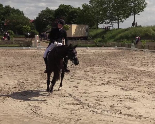Reitturnier Schülp / Rendsburg 2021