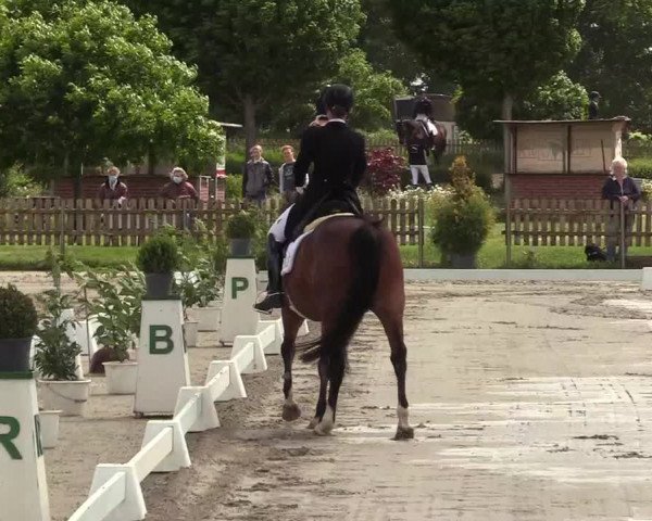 Reitturnier Schülp / Rendsburg 2021