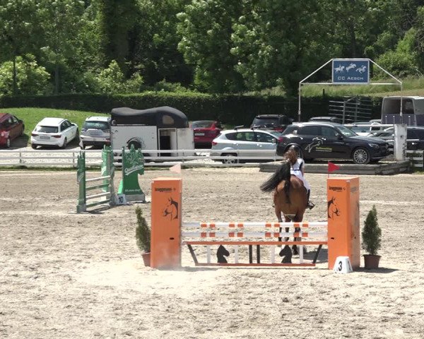 Reitturnier Aesch bei Neftenbach 2021