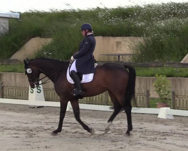 Reitturnier Schülp / Rendsburg 2021