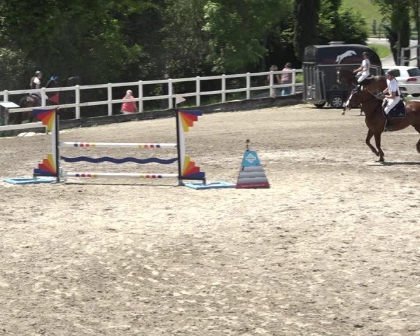 Reitturnier Aesch bei Neftenbach 2021