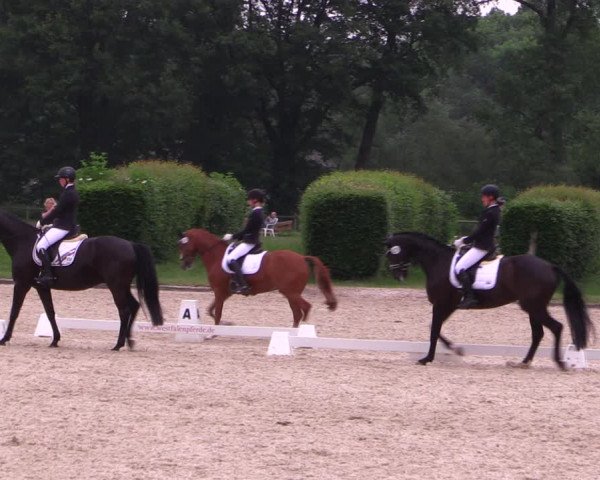 Reitturnier Münster-Handorf 2021