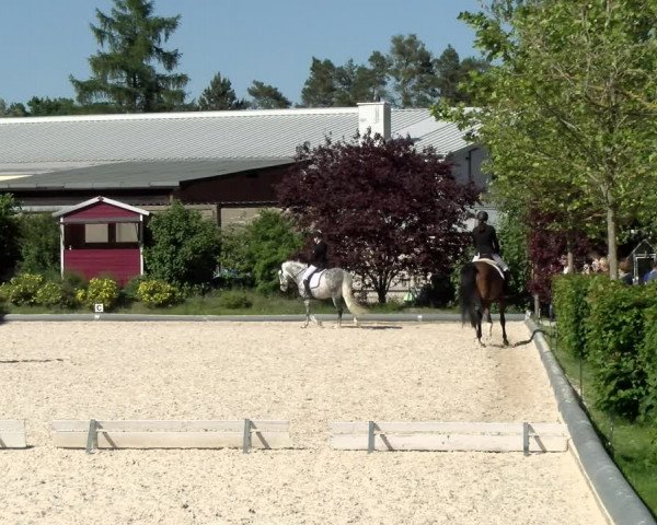 Reitturnier Nürnberg/Mfr. 2021