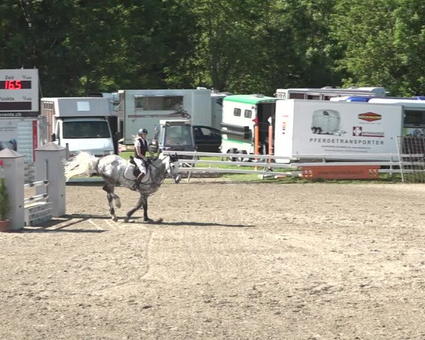 Reitturnier Aesch bei Neftenbach 2021