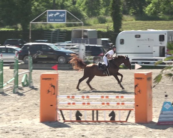Reitturnier Aesch bei Neftenbach 2021